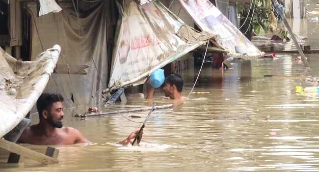 surffing My News Bangladesh