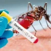 Dengue kit