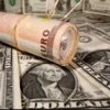 Forex reserves under pressure from debt servicing