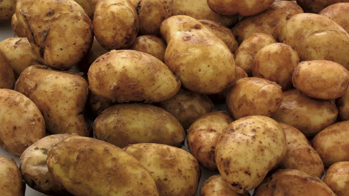 Government Price Fixing Leads to Further Potato Price Increase My News Bangaladesh
