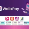 International payments made easier and safer with WellxPay