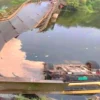 bridge