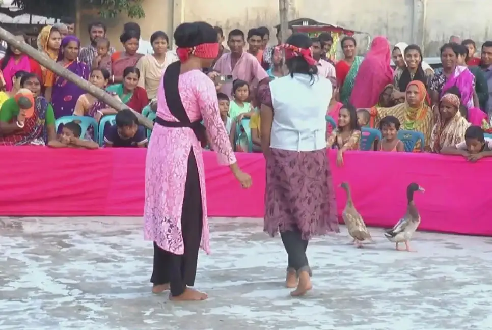 duck game My news Bangladesh