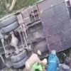 Tourist Bus Fell Into Ditch, Killed 8 My News Bangladesh