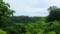 প্রশাসন